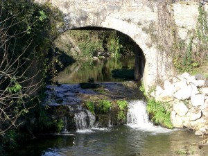 PONTE SUL FIUME ARRONE BIVIO DI FREGENE AUTOSALONE FABBRI copia