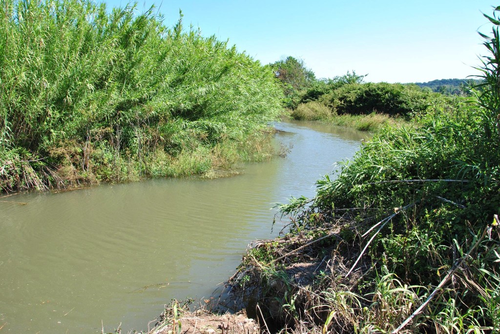 Il fiume Arrone