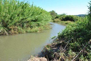 Il fiume Arrone
