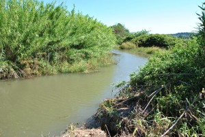 Il fiume Arrone