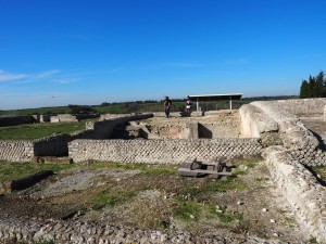 Volontari GAR scavo Villa Romana delle Colonnacce a Castel di Guido.