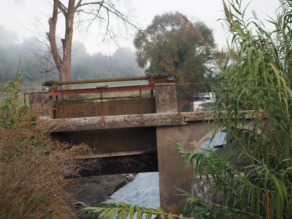 Il fiume Arrone