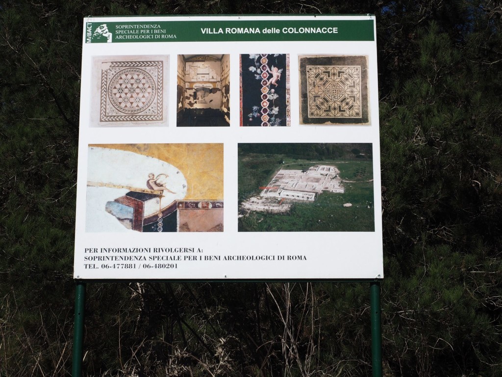 Volontari GAR scavo Villa Romana delle Colonnacce a Castel di Guido.