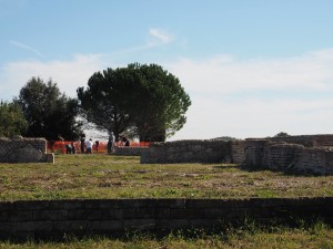 Volontari GAR scavo Villa Romana delle Colonnacce a Castel di Guido.