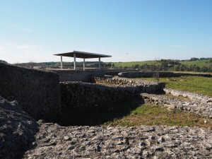 Volontari GAR scavo Villa Romana delle Colonnacce a Castel di Guido.