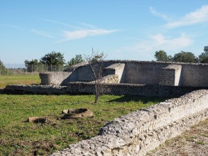 Volontari GAR scavo Villa Romana delle Colonnacce a Castel di Guido.