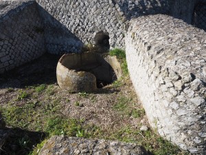 Volontari GAR scavo Villa Romana delle Colonnacce a Castel di Guido.