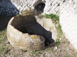 Volontari GAR scavo Villa Romana delle Colonnacce a Castel di Guido.