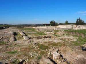 Volontari GAR scavo Villa Romana delle Colonnacce a Castel di Guido.