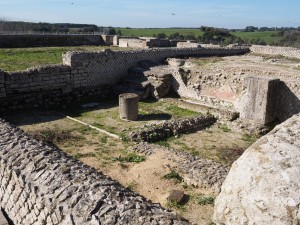 Volontari GAR scavo Villa Romana delle Colonnacce a Castel di Guido.