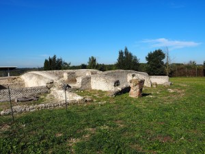 Volontari GAR scavo Villa Romana delle Colonnacce a Castel di Guido.