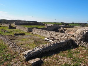 Volontari GAR scavo Villa Romana delle Colonnacce a Castel di Guido.