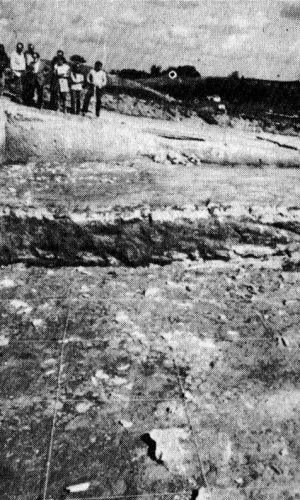 CASTEL DI GUIDO - PRIMA DELLA STORIA- Una veduta dello scavo della terza campagna effettuata nel 1982