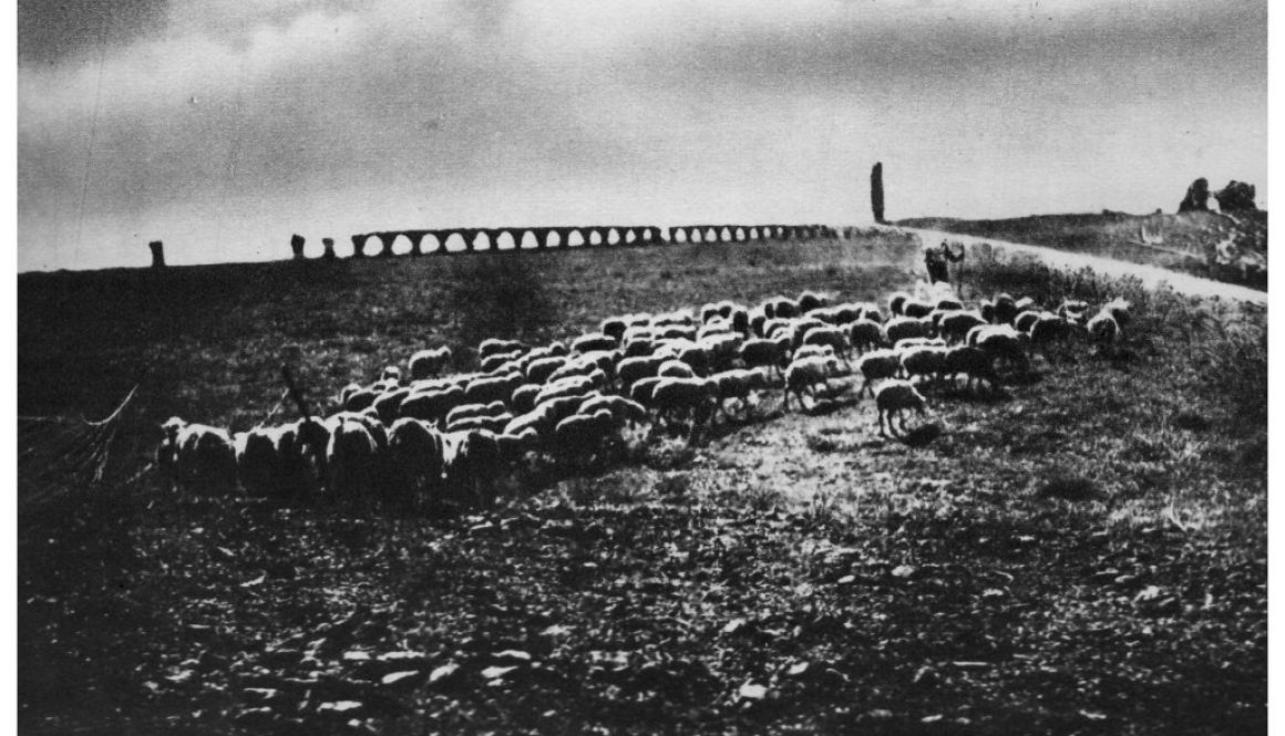 Campagna Romana – dagherrotipo(foto) del 1860