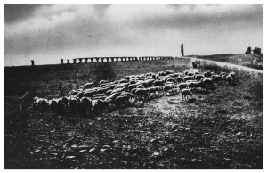 Campagna Romana – dagherrotipo(foto) del 1860