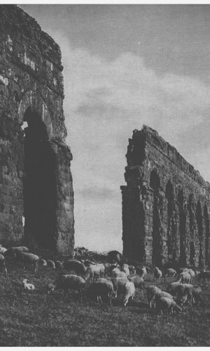 Campagna Romana- foto primi anni 1900