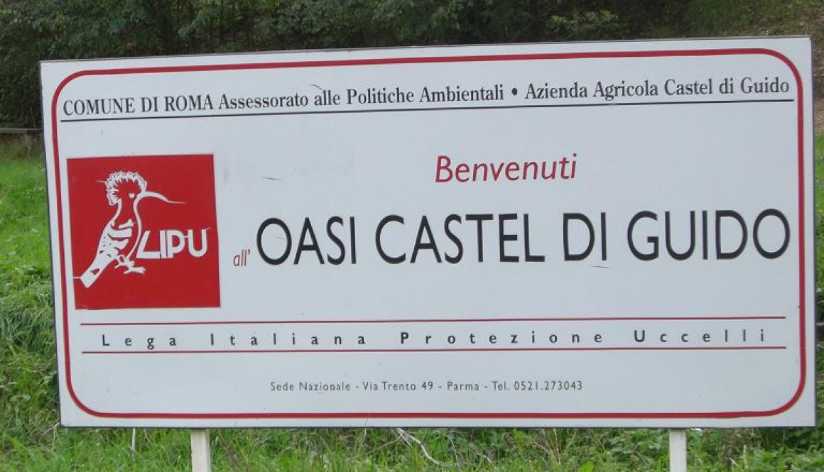 OASI LIPU di Castel di Guido- Foto Gallery del decennale 2009- 1° giorno -