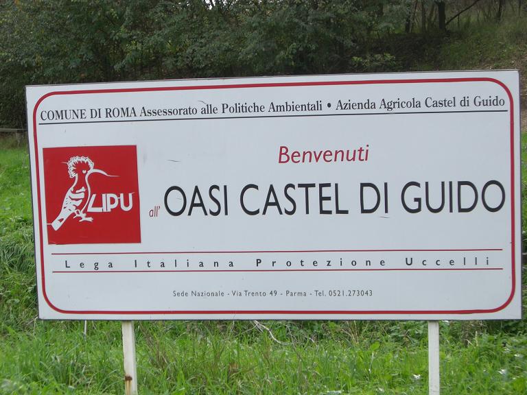 OASI LIPU di Castel di Guido- Foto Gallery del decennale 2009- 1° giorno -