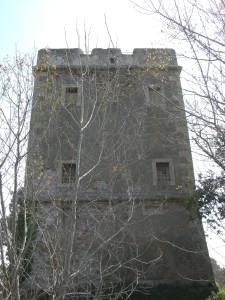 MACCARESE-Torre Primavera 