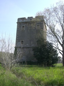 MACCARESE-Torre Primavera 