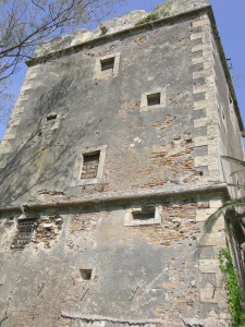 MACCARESE-Torre Primavera 