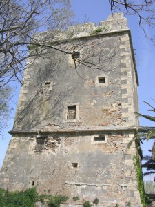 MACCARESE-Torre Primavera 