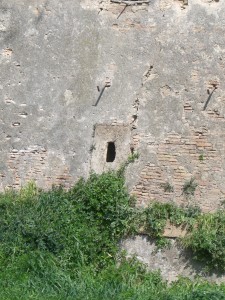 MACCARESE-Torre Primavera 