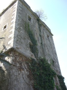 MACCARESE-Torre Primavera 