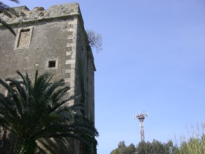 MACCARESE-Torre Primavera 