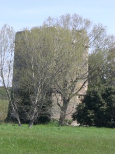 MACCARESE-Torre Primavera 