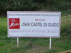 OASI LIPU di Castel di Guido- Archivio anno 2009 -Foto Gallery Costruzione della prima casetta in legno