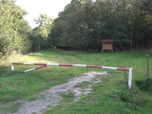 OASI LIPU di Castel di Guido- Archivio anno 2009 -Foto Gallery Costruzione della prima casetta in legno