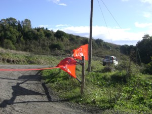 OASI LIPU di Castel di Guido- Archivio anno 2009 -Foto Gallery Festeggiamenti primo giorno del decennale