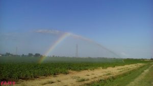 Campagna Romana 