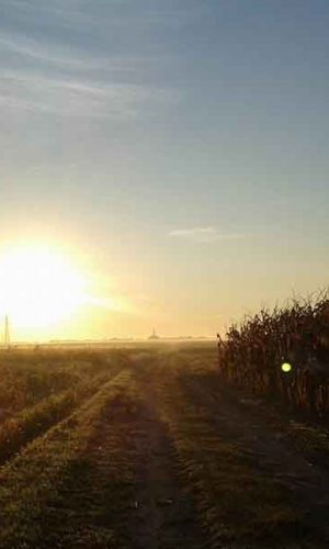 Campagna Romana