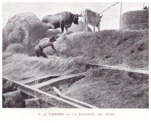 LA CAMPAGNA ROMANA NELLE TEMPERE E NEI PASTELLI DI Giulio Aristide Sartorio.