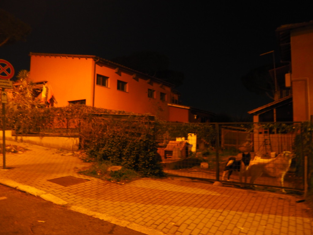 Borgo TESTA di LEPRE By night-Fotoreportage di Franco Leggeri