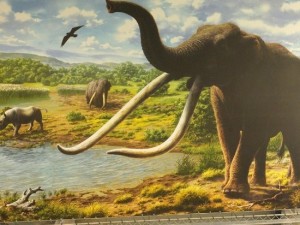 La Polledrara di Cecanibbio 