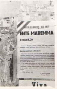 3)Manifesto del Ministero dell'Agricoltura e delle Foreste in cui si annuncia che la cerimonia di assegnazione dei poderi dell'Ente Maremma si terrà a Castel di Guido il 20 Luglio 1952: l'avviso è firmato da Giuseppe Medici, presidente dell'ente Maremma •data20.07.1952 