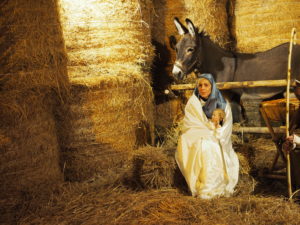 Castel di Guido – IL PRESEPE VIVENTE EDIZIONE 2016-