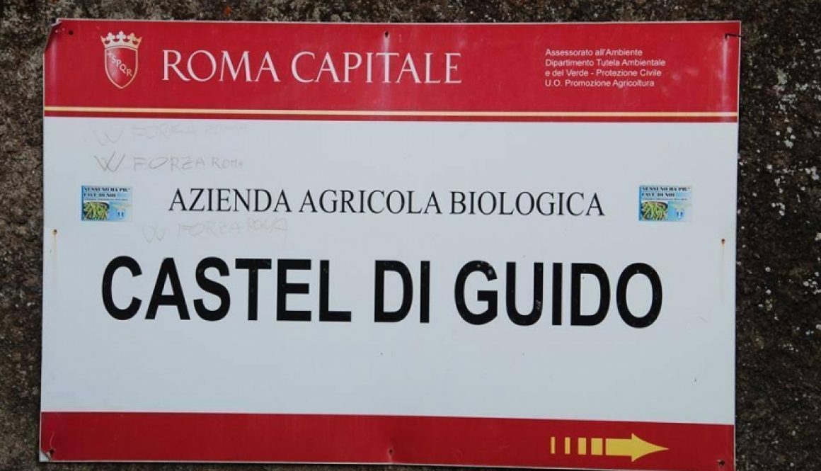 AZIENDA AGRICOLA Castel di Guido