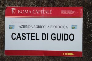 AZIENDA AGRICOLA Castel di Guido