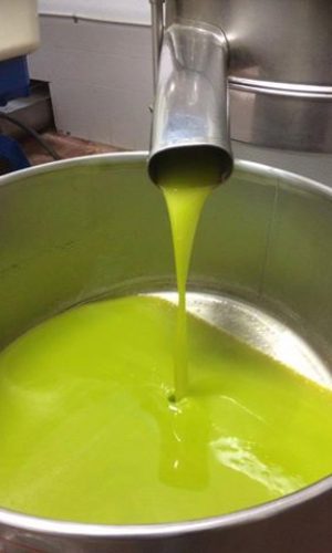 olio extravergine di oliva del Lazio