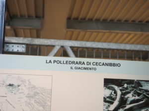 CASTEL DI GUIDO-La Polledrara di Cecanibbio- MUSEO PALEONTOLOGICO