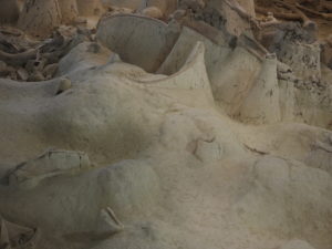 CASTEL DI GUIDO-La Polledrara di Cecanibbio- MUSEO PALEONTOLOGICO