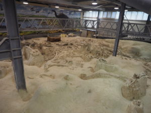 CASTEL DI GUIDO-La Polledrara di Cecanibbio- MUSEO PALEONTOLOGICO