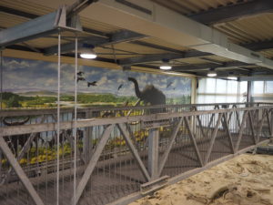 CASTEL DI GUIDO-La Polledrara di Cecanibbio- MUSEO PALEONTOLOGICO