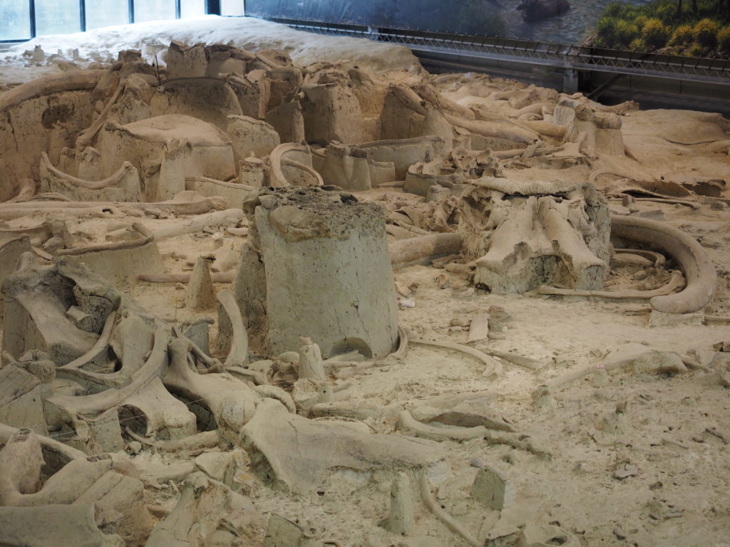 CASTEL DI GUIDO-La Polledrara di Cecanibbio- MUSEO PALEONTOLOGICO