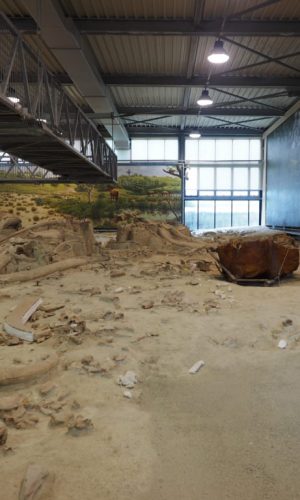 CASTEL DI GUIDO-La Polledrara di Cecanibbio- MUSEO PALEONTOLOGICO