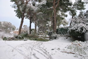 RESIDENZA AURELIA di CASTEL DI GUIDO , la grande neve di Febbraio 2012-